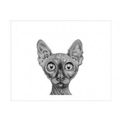 TORBA NA RAMIĘ - 45x50 czaszki czarne