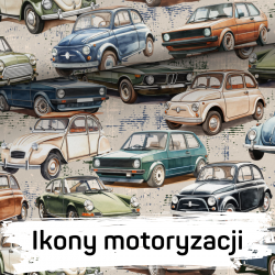 Wzór i wielkość do wyboru - Komplet pościel z wypełnieniem + poduszka -  bawełna z minky