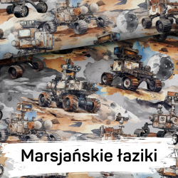 Wzór i wielkość do wyboru - Komplet pościel z wypełnieniem + poduszka -  bawełna z minky