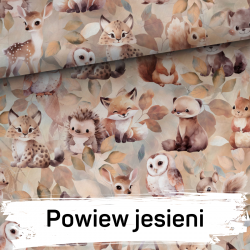 Wzór i wielkość do wyboru - Komplet pościel z wypełnieniem + poduszka -  bawełna z minky