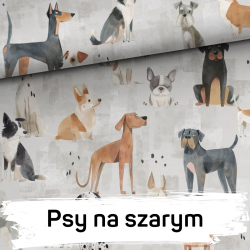 Wzór i wielkość do wyboru - Komplet pościel z wypełnieniem + poduszka -  bawełna z minky