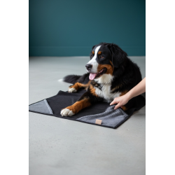 Ręcznik dla czworonoga...